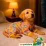 Roupa Pet Pijama para Cachorro e Gato Soft Estampado Lulika foto 2